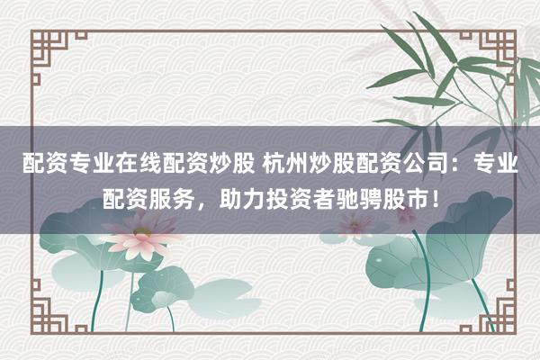 配資專業(yè)在線配資炒股 杭州炒股配資公司：專業(yè)配資服務(wù)，助力投資者馳騁股市！