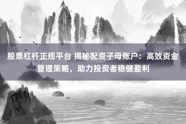 股票杠桿正規平臺 揭秘配資子母賬戶：高效資金管理策略，助力投資者穩健盈利